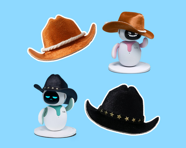 Cowboy Hat